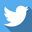 twitter logo